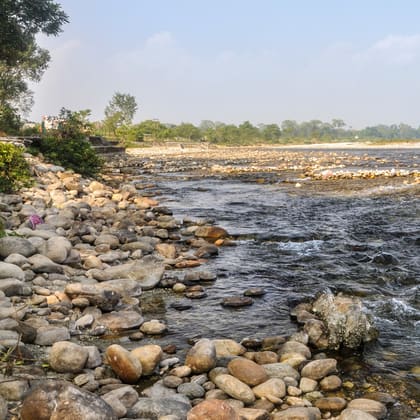 The Murti river running through the forests of the Dooars