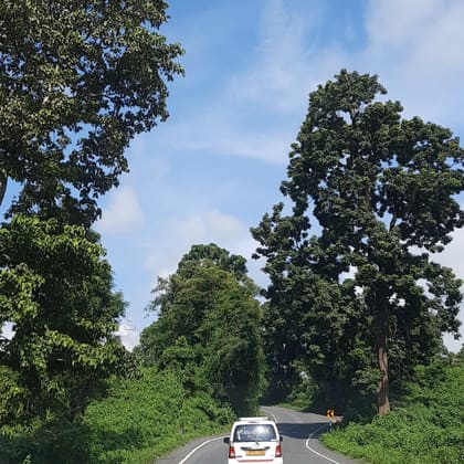 A quiet hill road on the way to Mirik